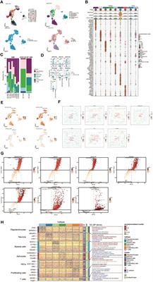 Single cell sequencing revealed the mechanism of CRYAB in glioma and its diagnostic and prognostic value